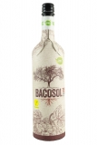 BACOSOL Tinto Bio & Vegan „Papierflasche“, NV